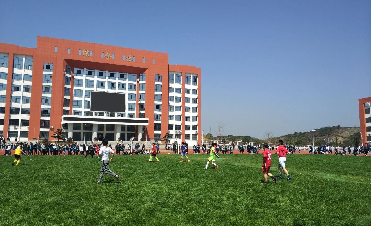 一片人造草与天然草混植足球场——湖南省凤凰县高级中学